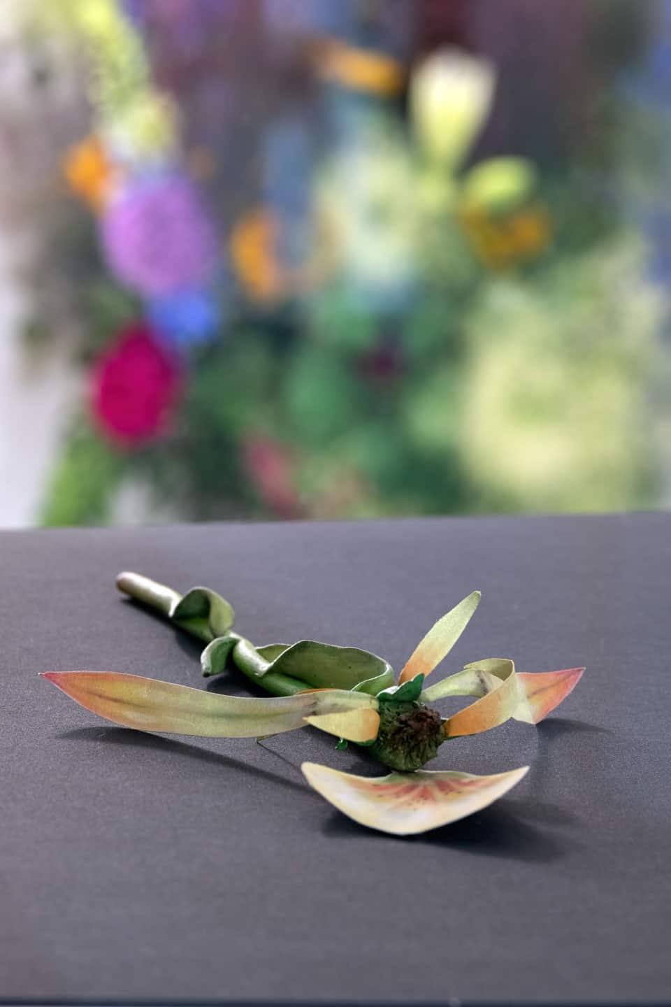 NAMARA-projects_Giving-Entry_72-Zachari-Logan-After-Mary-Delaney-2-6x4